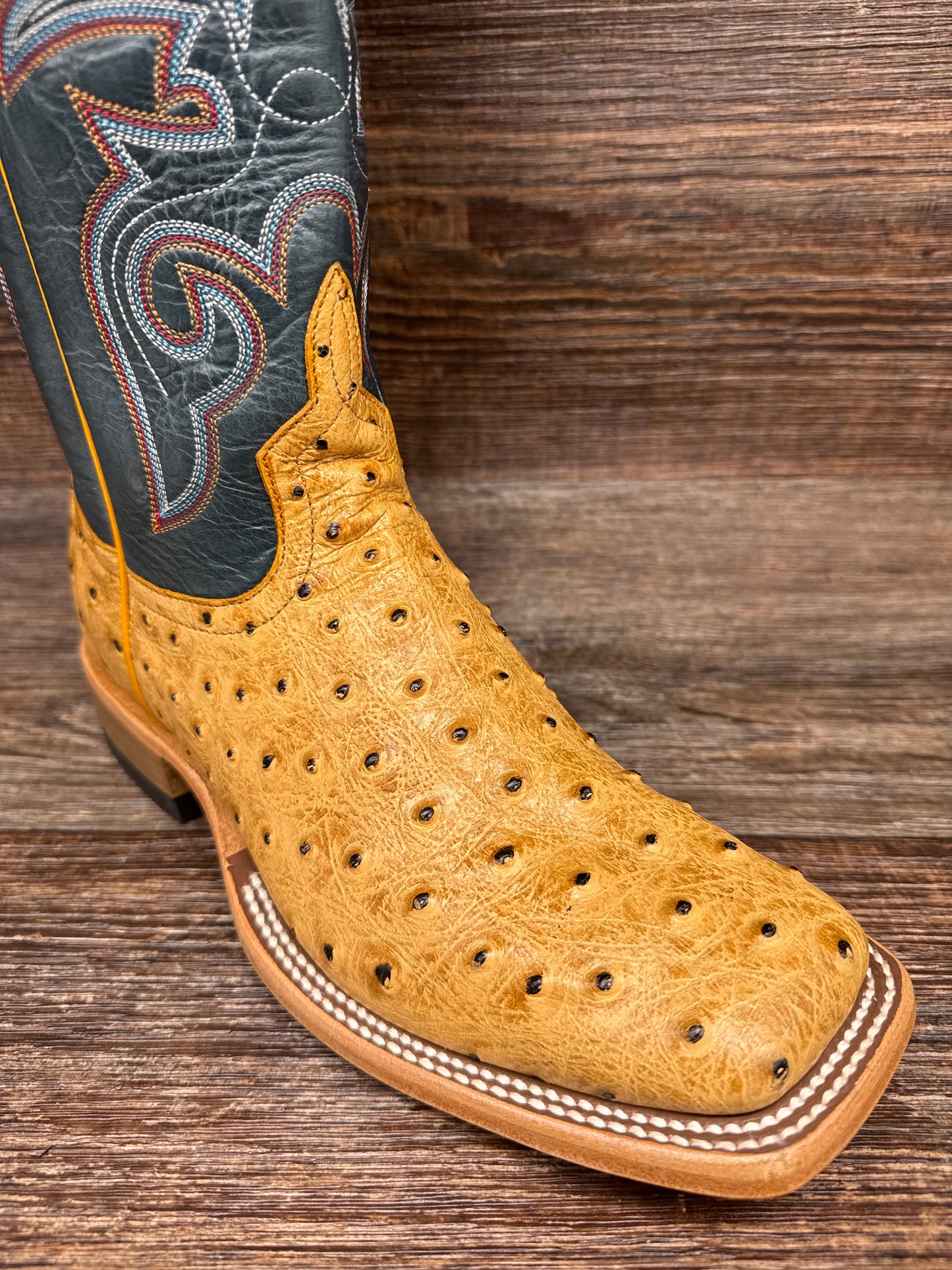 HP8083 Men's Square Toe Ostrich Print Western Boot by Horse Power