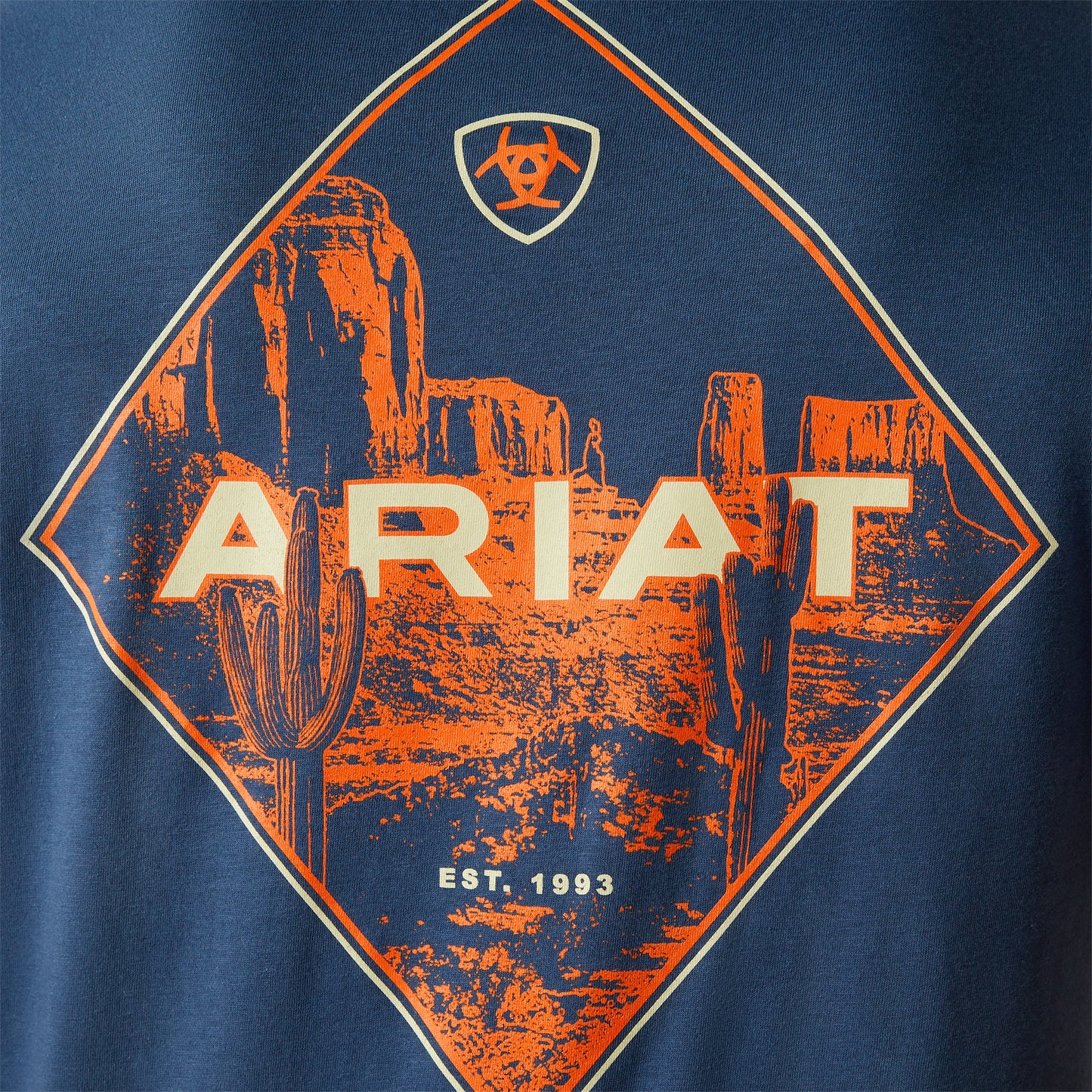 10054769 Men's Diamond Valley T-Shirt by Ariat