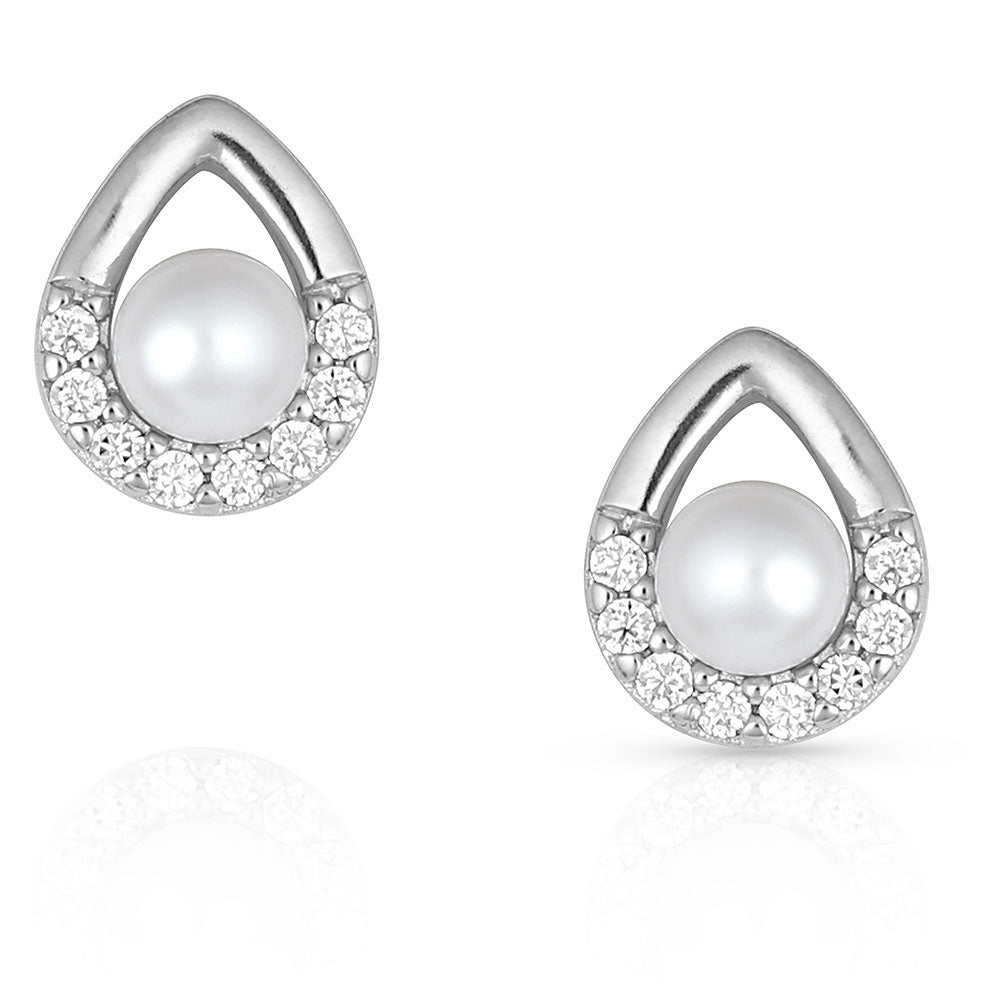 er4893 Cradle Sparkle Earrings by Montana Silversmiths