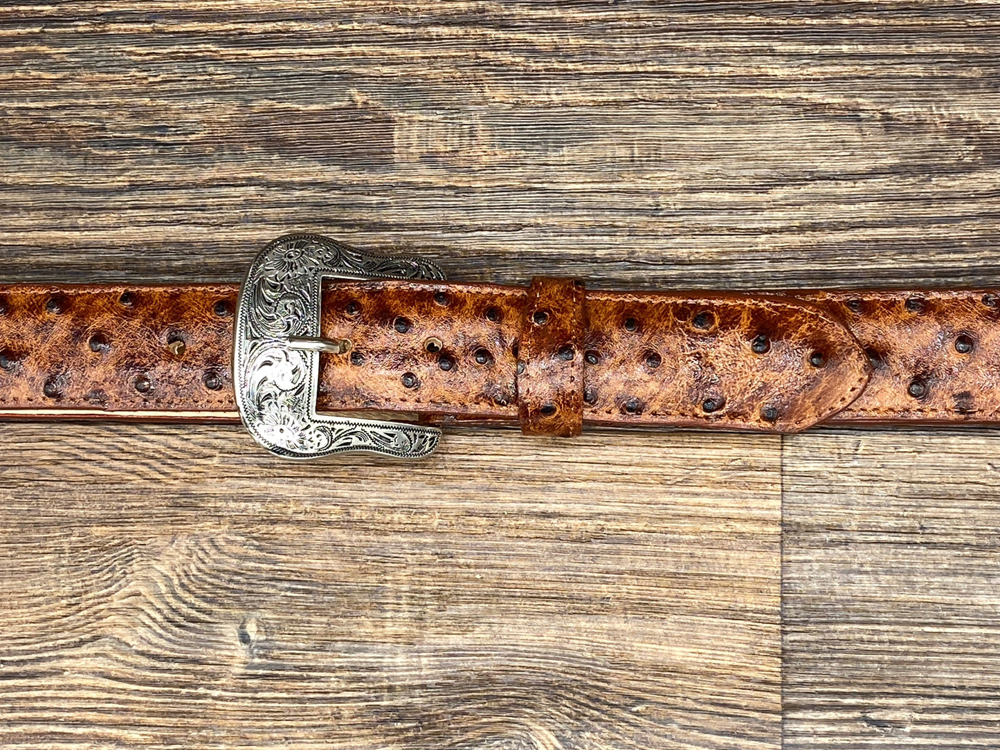 6064h Cognac Exotic Print Belt by Cowtown