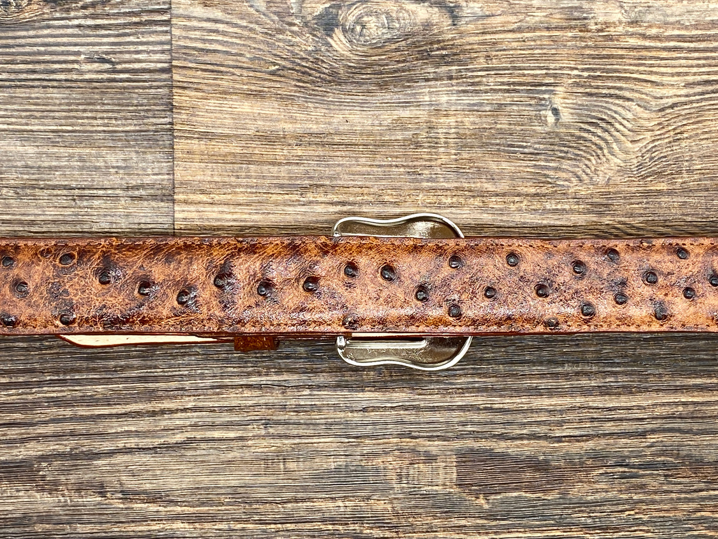 6064h Cognac Exotic Print Belt by Cowtown