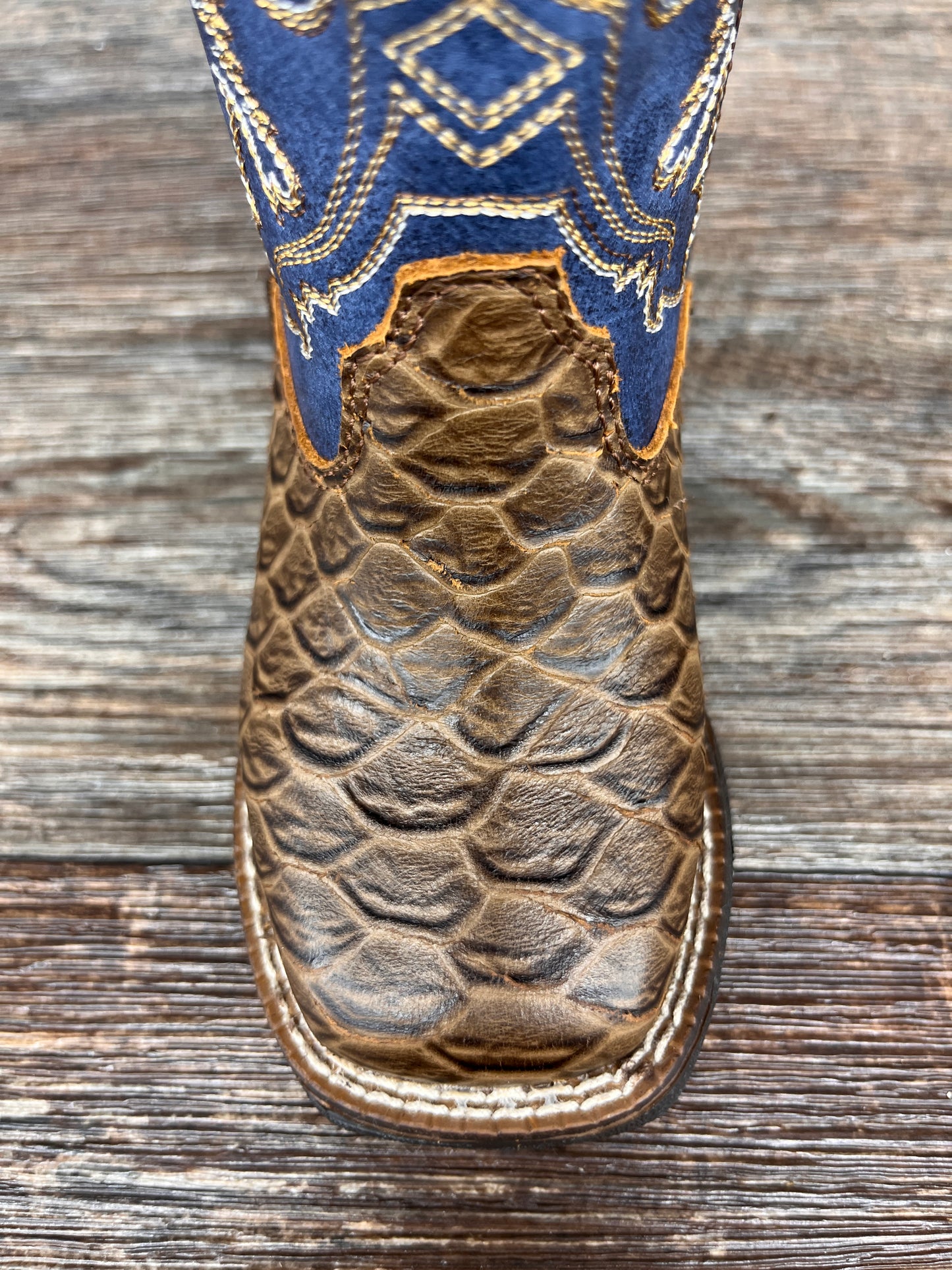 A441000202 Toddler's Ariat Orlando Fish Print Square Toe Western Boot by M&F Western Products