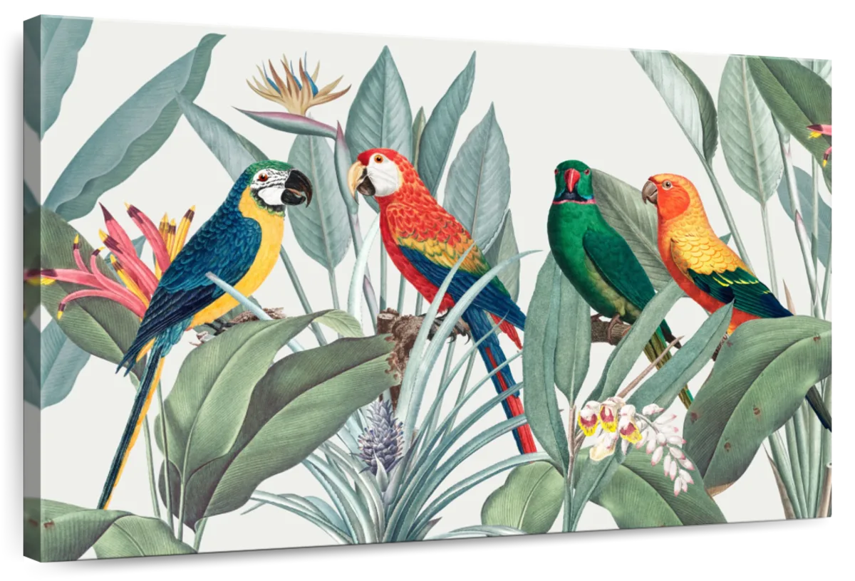 Tropical Safari Parrots Wall Art