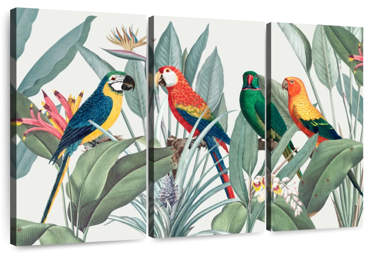 Tropical Safari Parrots Wall Art