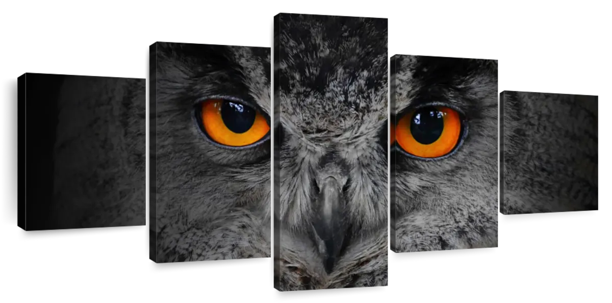 Mesmerizing Gray Owl Wall Art