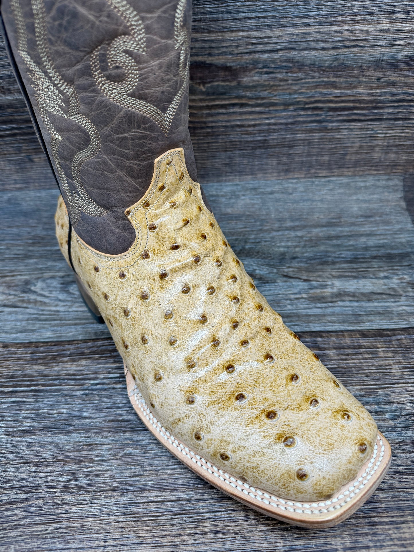 Q6077 Men's Genuine Cowhide Ostrich Print Western Boot by Cowtown