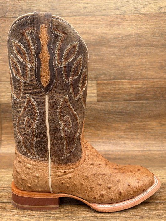 RN3642 Women's Smooth Ostrich Requill Western Boots by Tony Lama