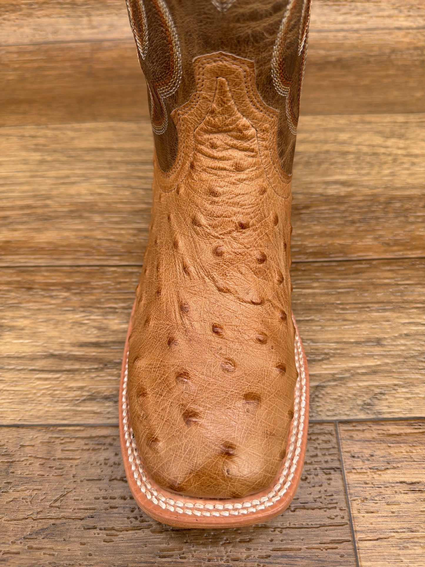 RN3642 Women's Smooth Ostrich Requill Western Boots by Tony Lama