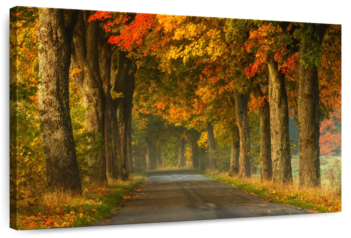 Polish Autumn Road Wall Art