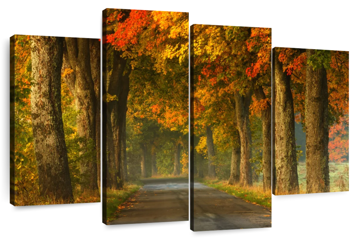 Polish Autumn Road Wall Art