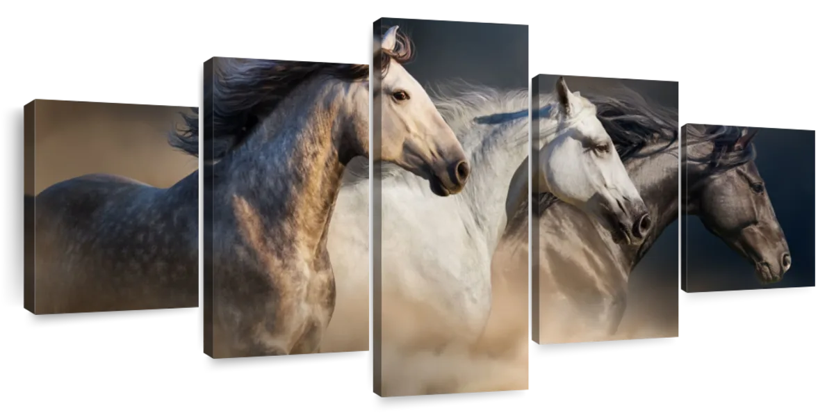 Magnificent Horses Wall Art