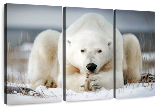 Yoga Polar Bear Wall Art