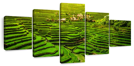 Historic Ifugao Rice Terraces Wall Art