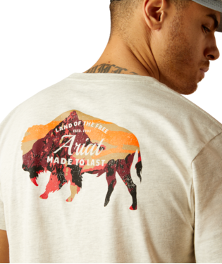 10052571 Men's Bison Landscape T-Shirt by Ariat