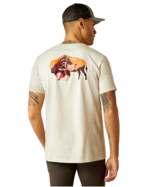 10052571 Men's Bison Landscape T-Shirt by Ariat