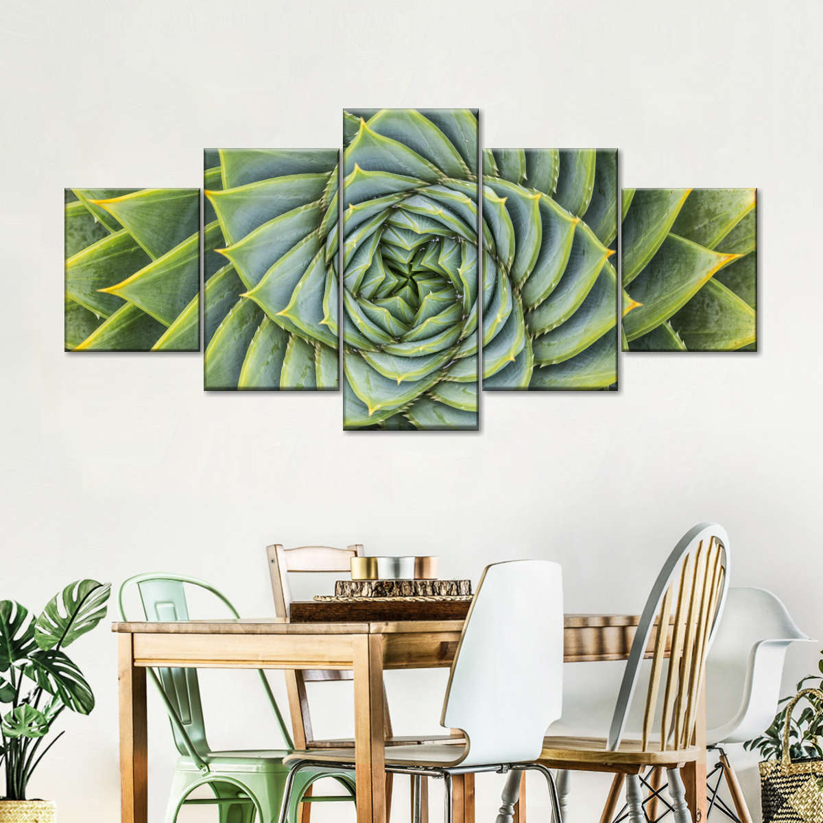 Spiral Succulent Wall Art