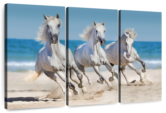 Wild Beach Horses Wall Art