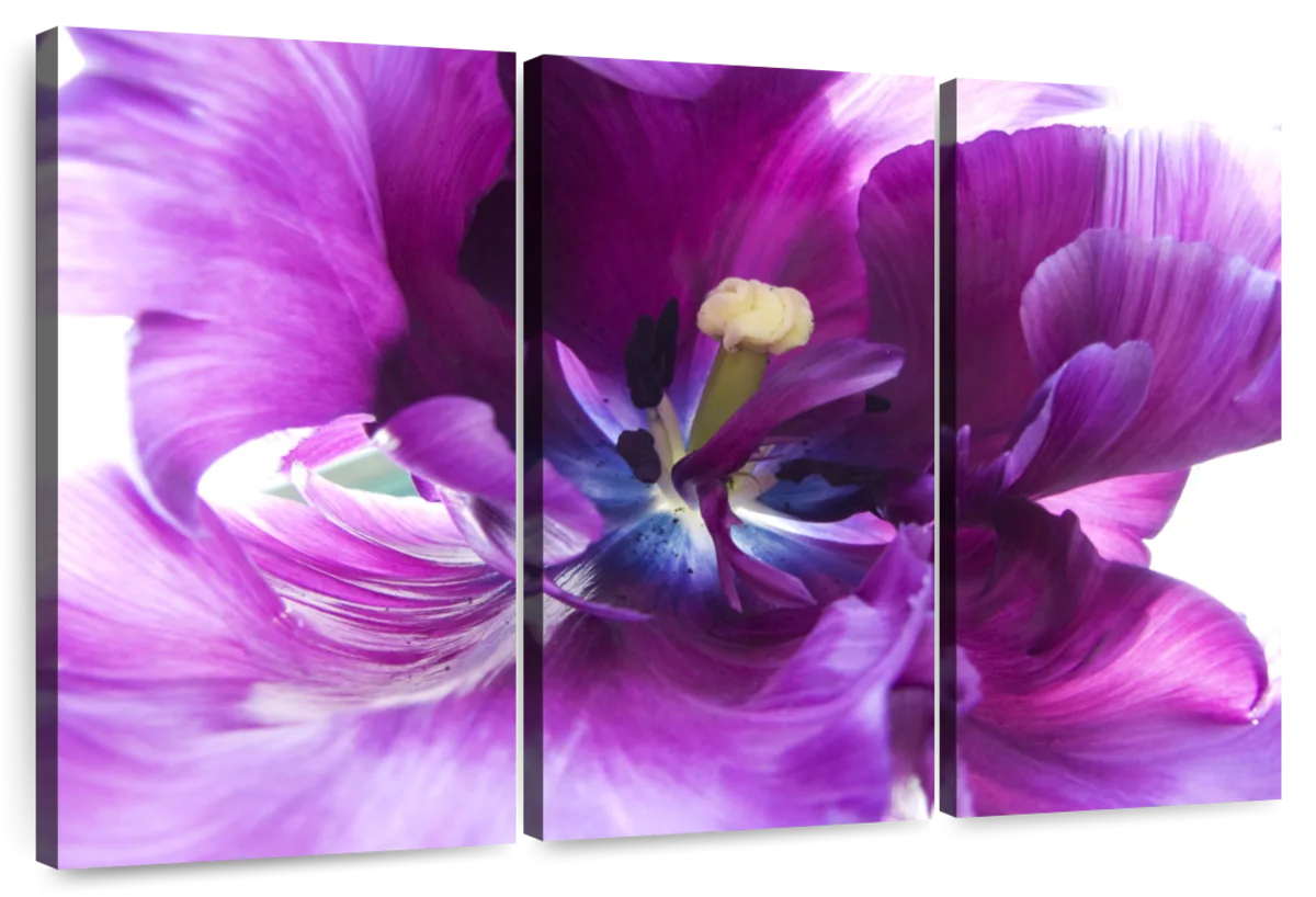 Purple Flower Wall Art