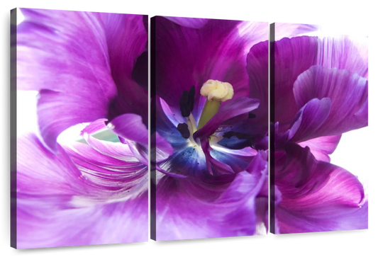 Purple Flower Wall Art