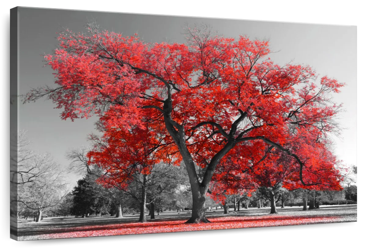 Red Tree Wall Art