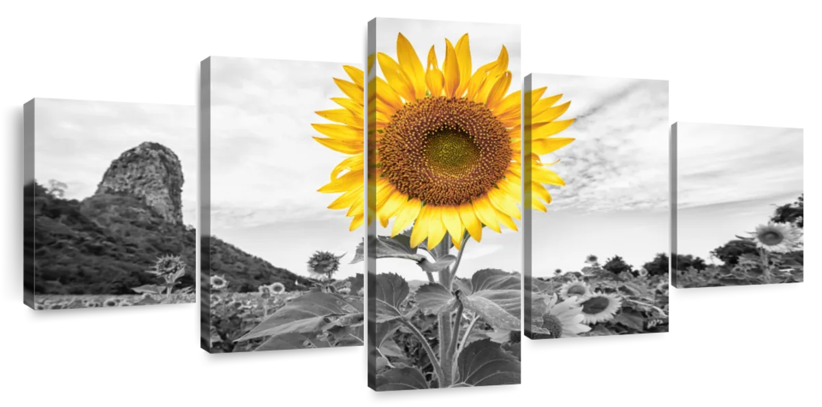 Pop Golden Sunflower Wall Art – Rushing Boots