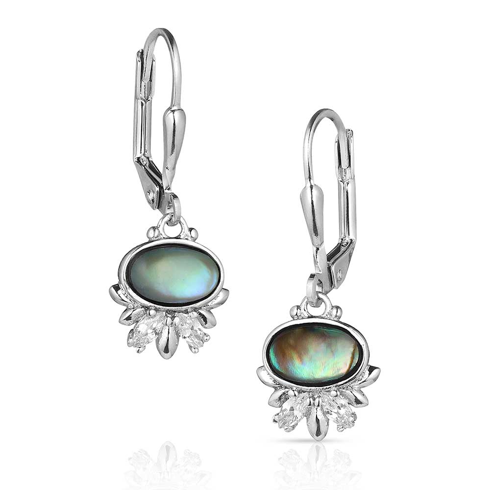 ER5770 Aurora Lights Crystal Earrings by Montana Silversmiths