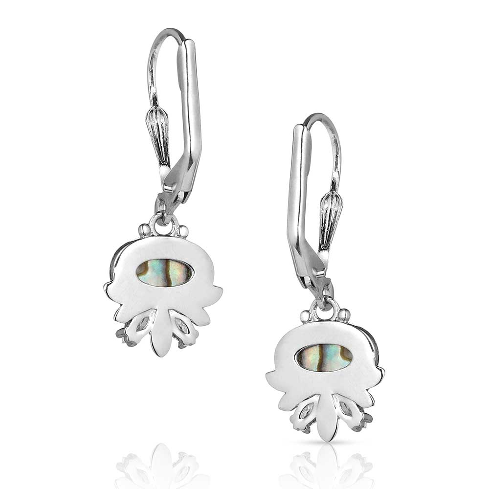 ER5770 Aurora Lights Crystal Earrings by Montana Silversmiths