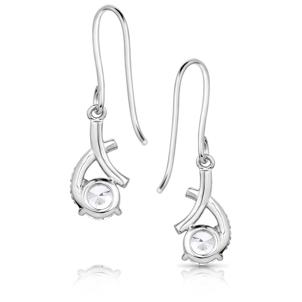 ER5960 Hugs & Kisses Earrings by Montana Silversmiths