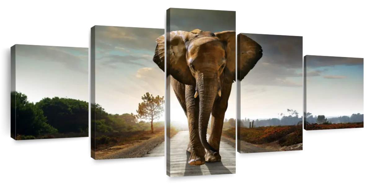 Walking Lone Elephant Wall Art