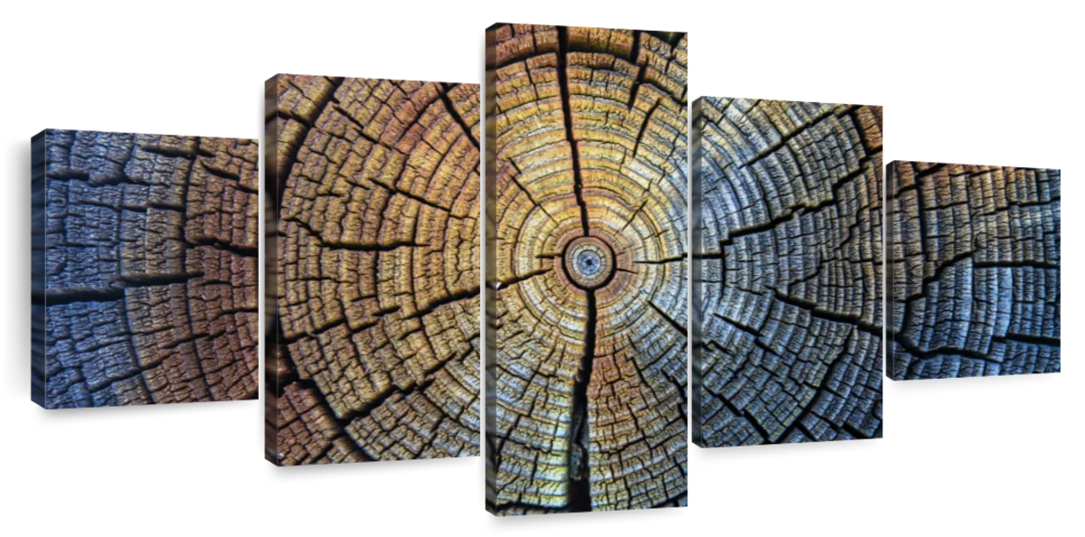 Tree Trunk Pattern Wall Art