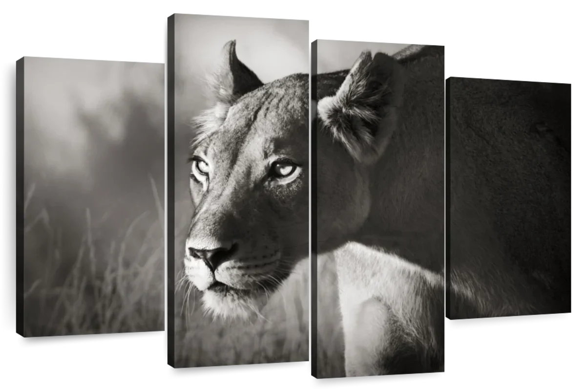 Stalking Lioness Wall Art