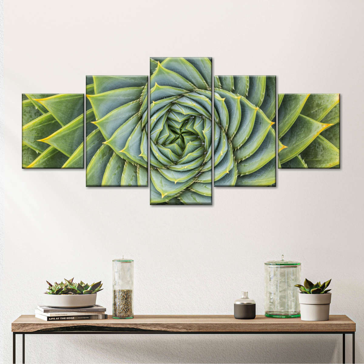 Spiral Succulent Wall Art