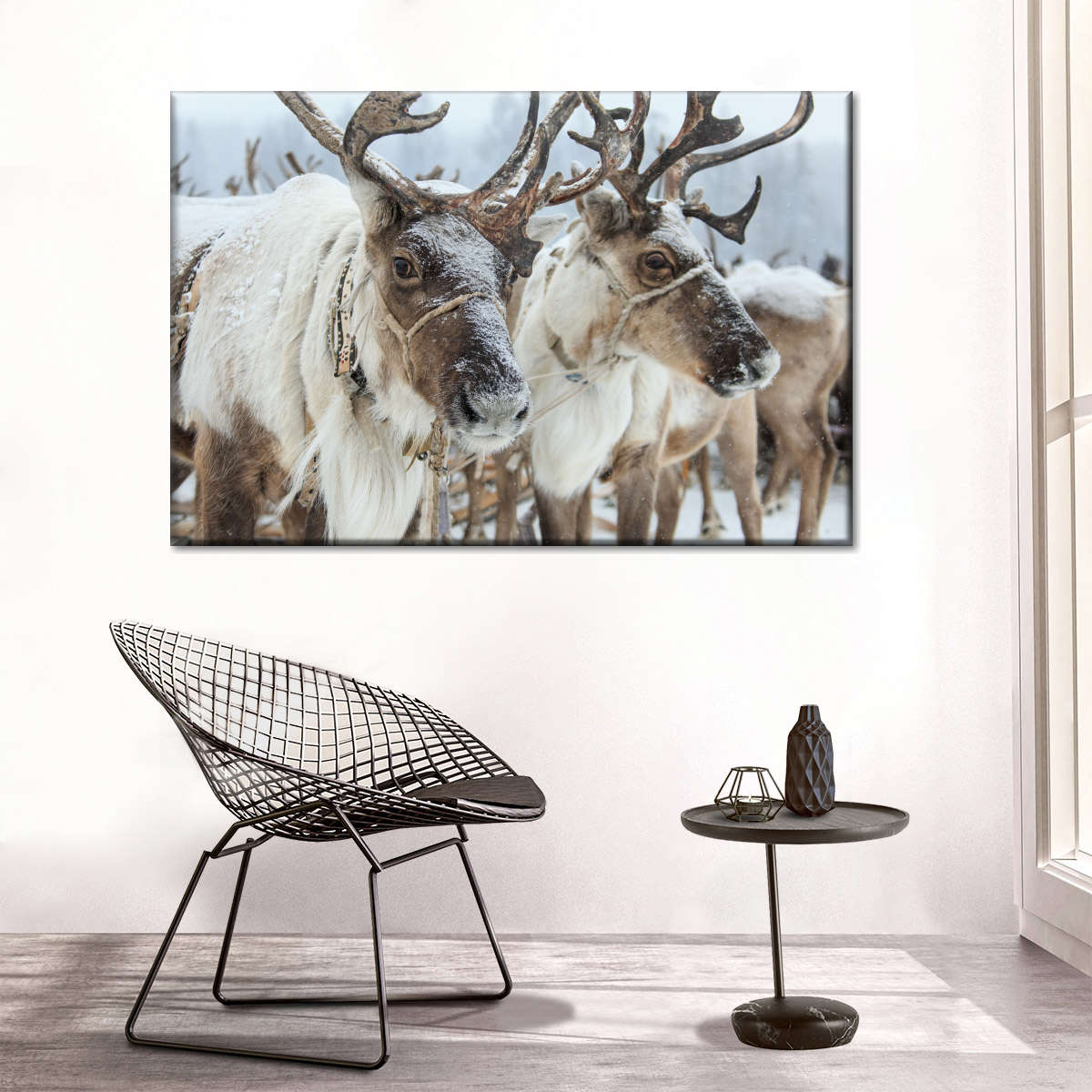 Snow Reindeer Wall Art