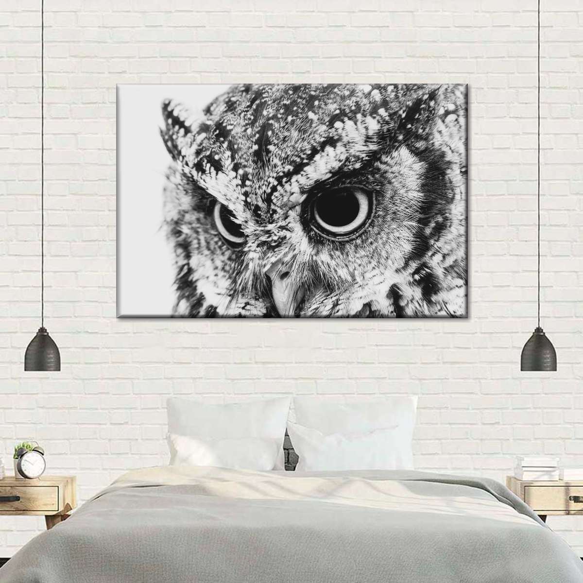 Staring Owl Wall Art