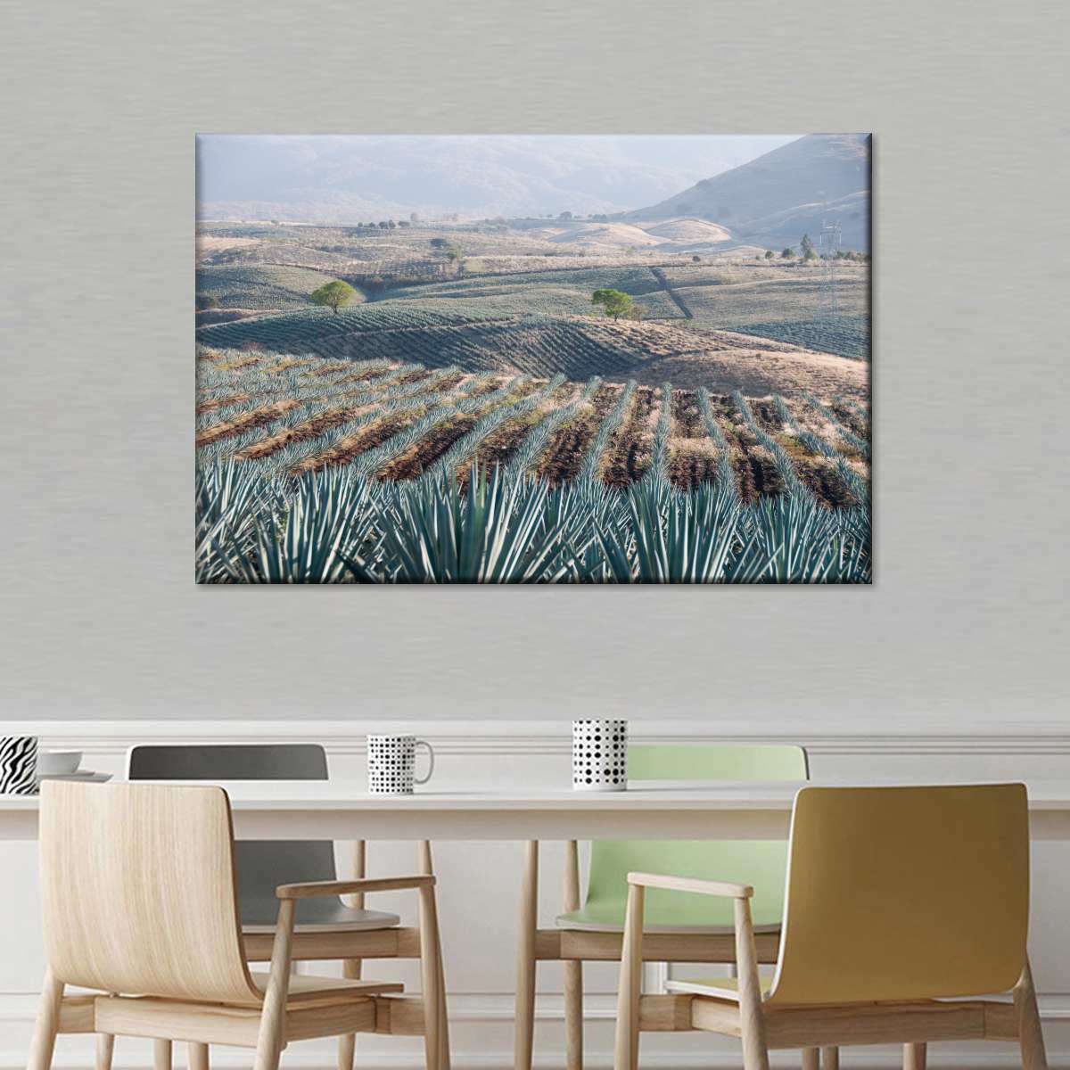 Tequila Jalisco Agave Field Wall Art