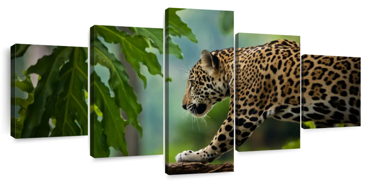 Sneaky Jaguar Wall Art