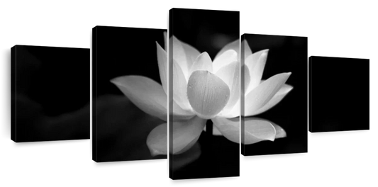 Lotus Flower Monochrome Wall Art