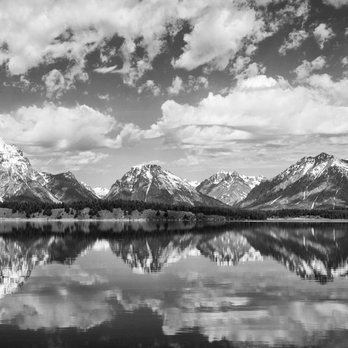 Grand Teton Panorama Wall Art