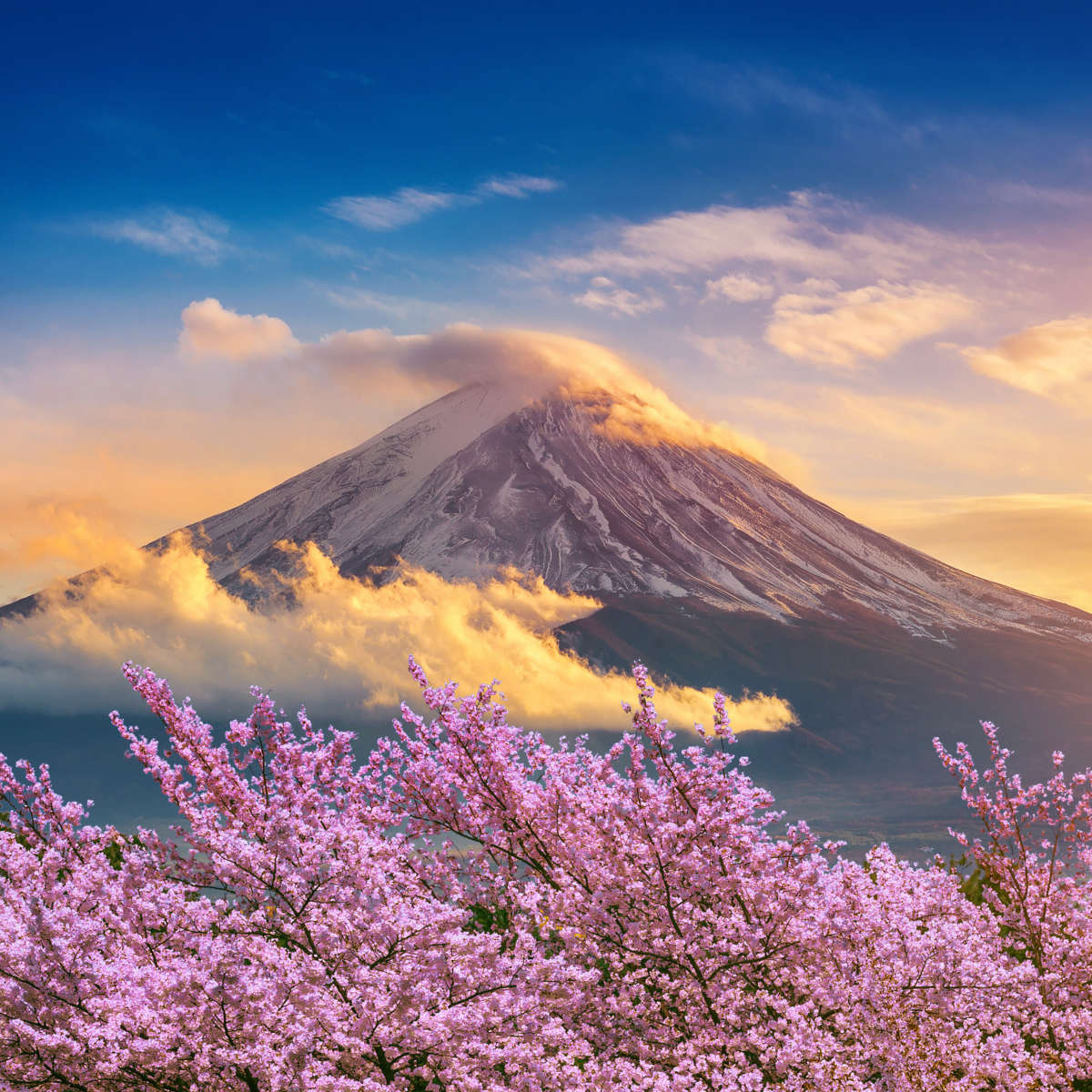 Mount Fuji Wall Art