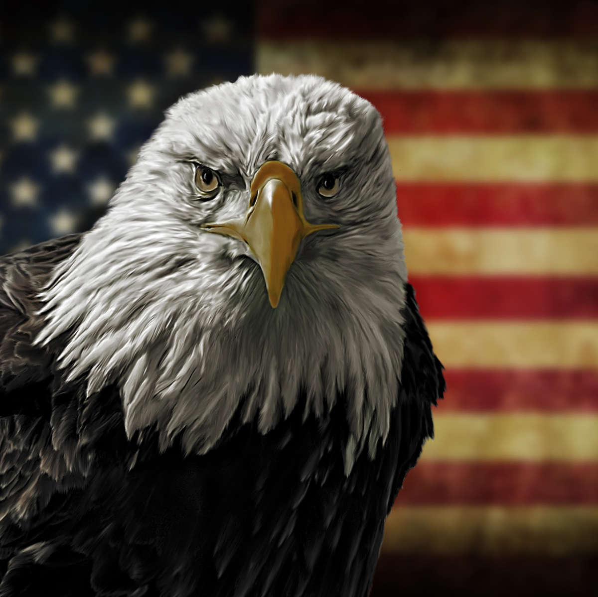 Eagle And Flag Of America Wall Art