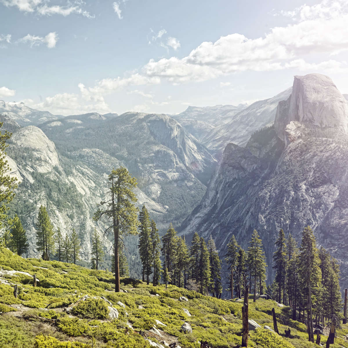 Yosemite Half Dome Wall Art