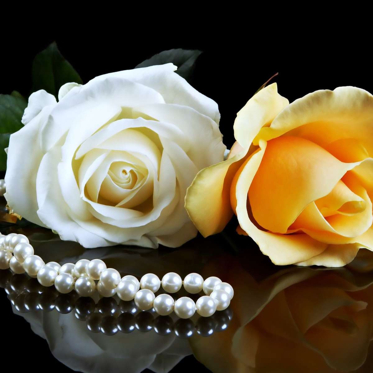 Pearls And Roses Wall Art