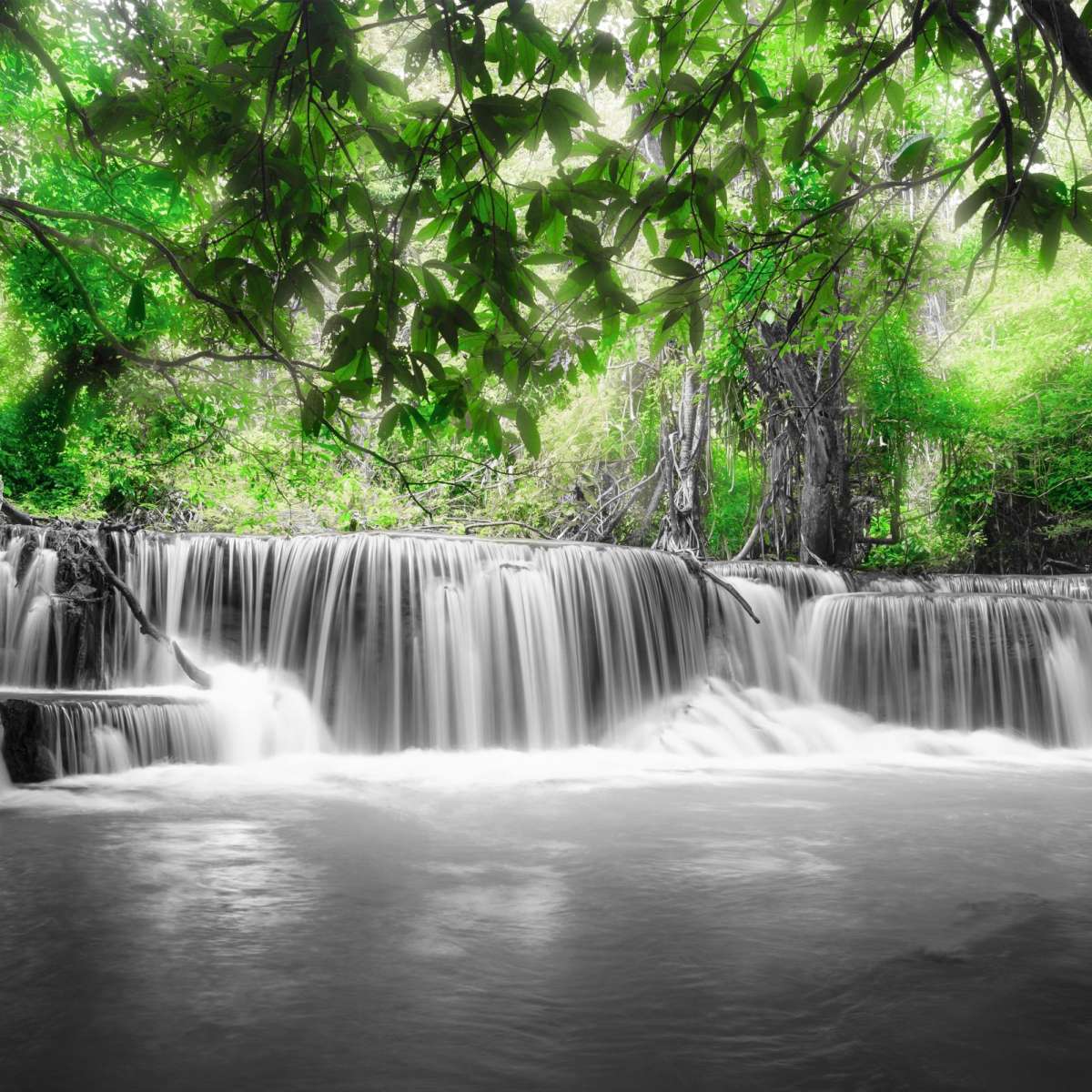 Pop Tropical Waterfall Wall Art