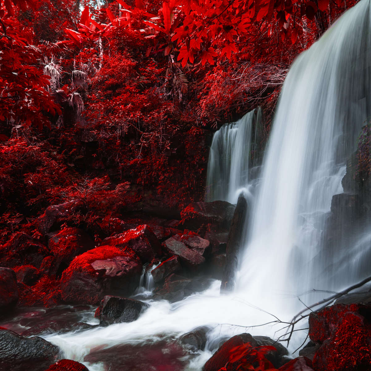 Red Autumn Waterfall Wall Art