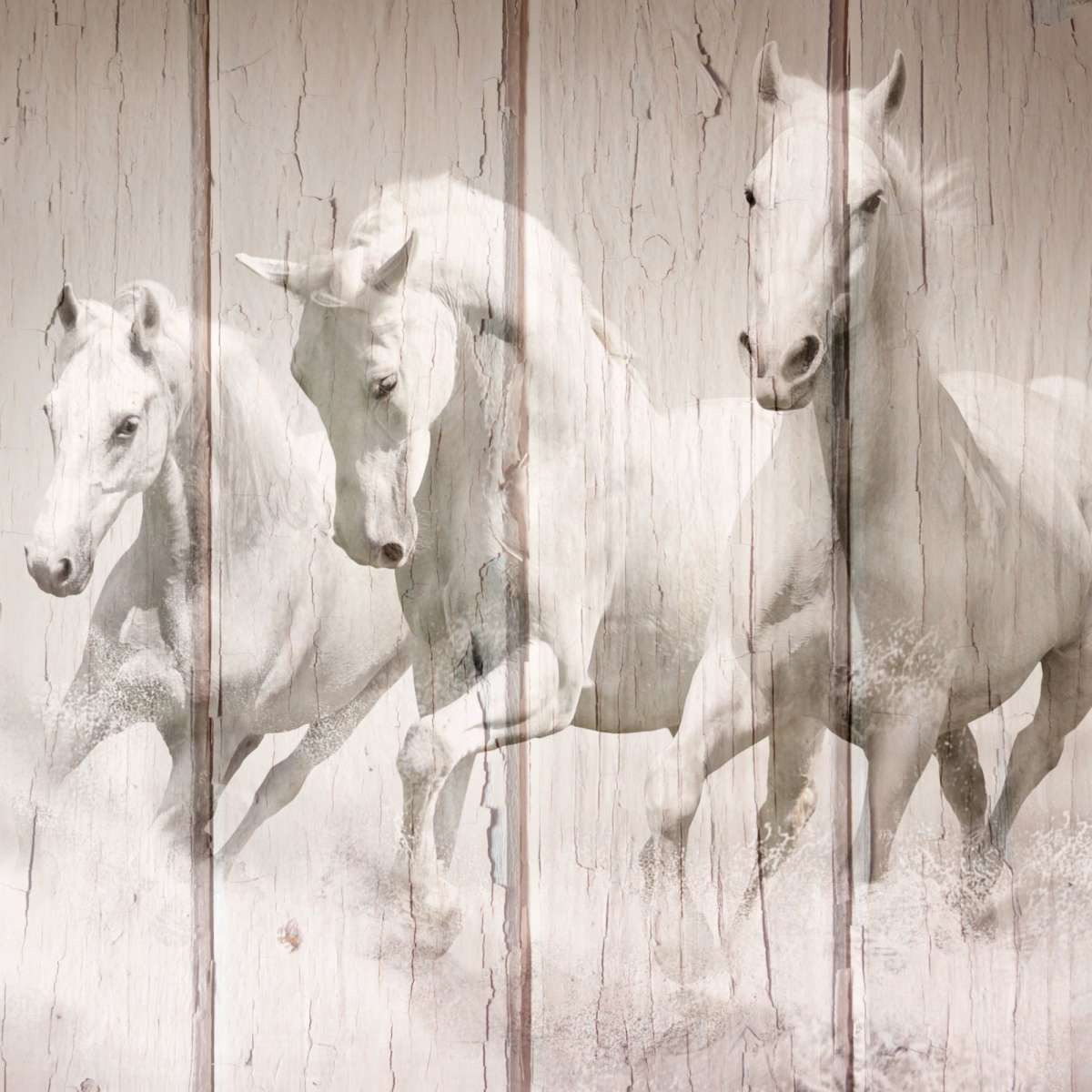 Rustic White Horses Wall Art