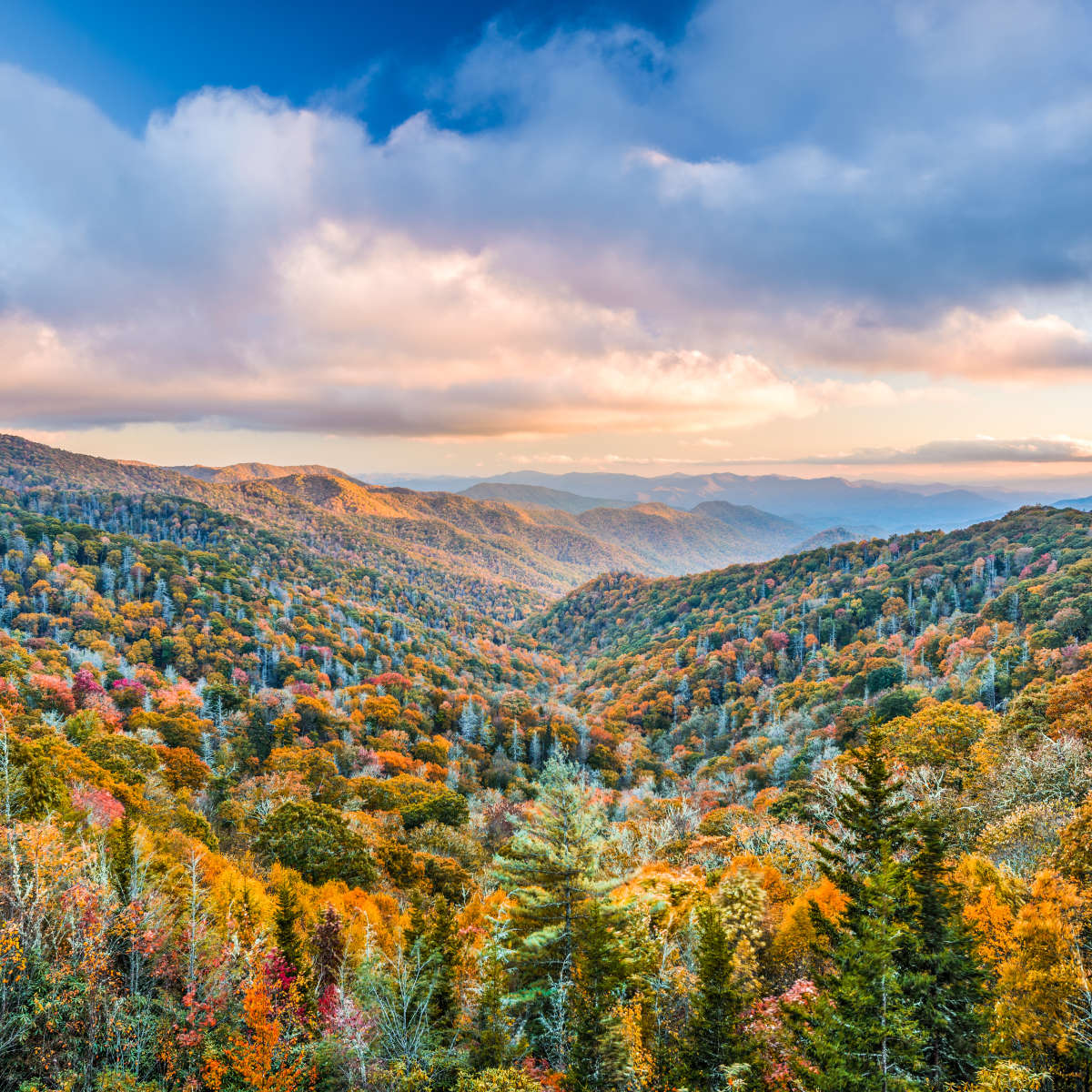 Smoky Mountains At Fall Wall Art