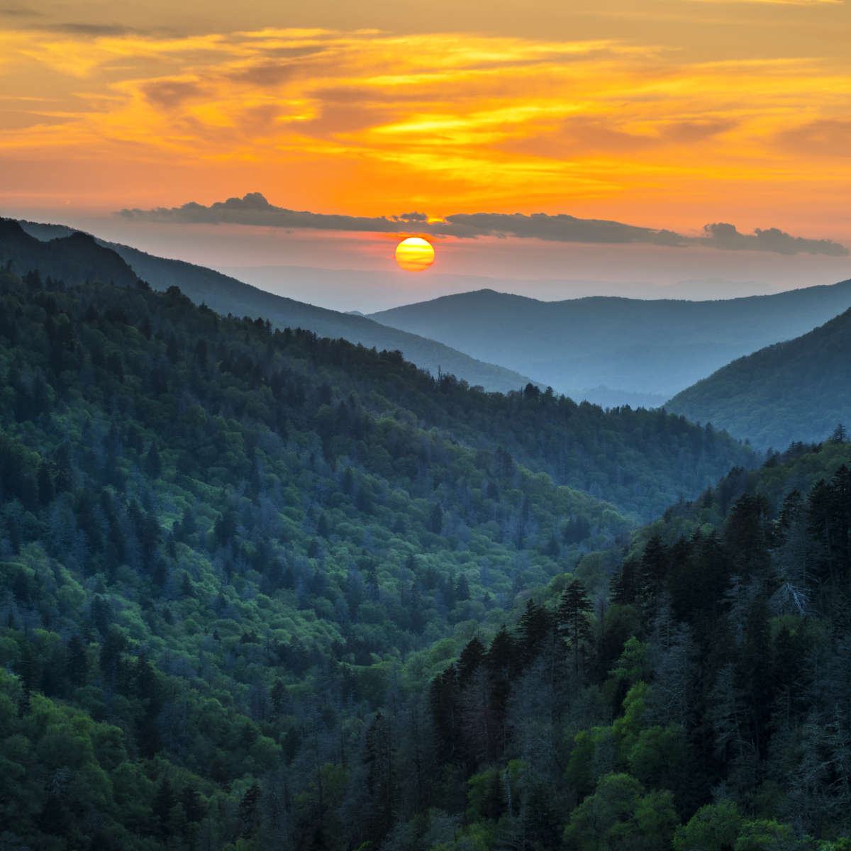 Smoky Mountains National Park Wall Art