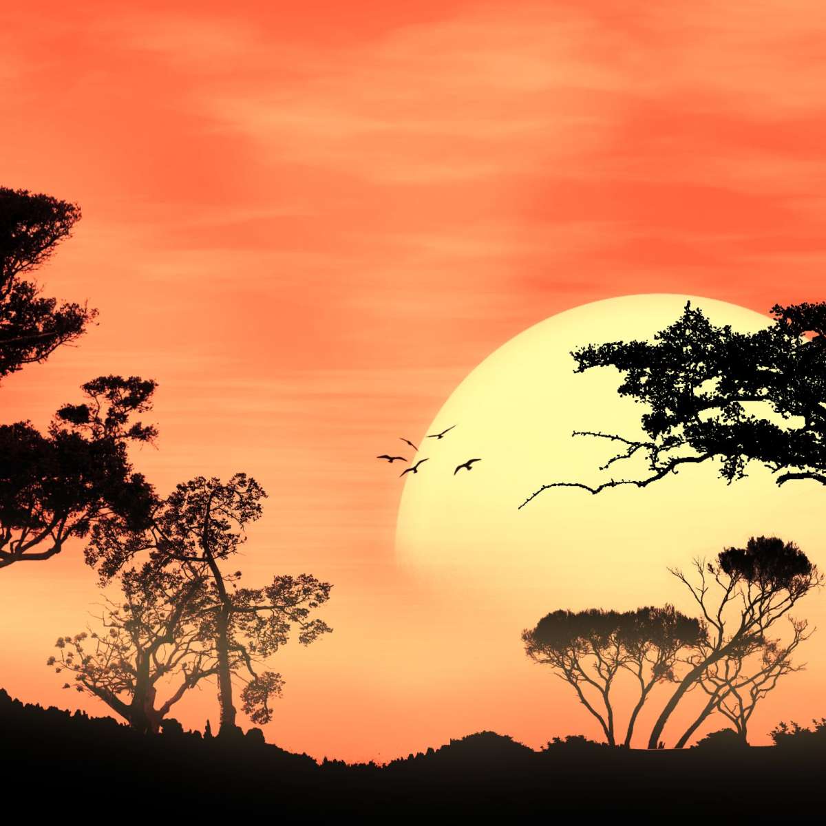 Sunrise In Africa Wall Art