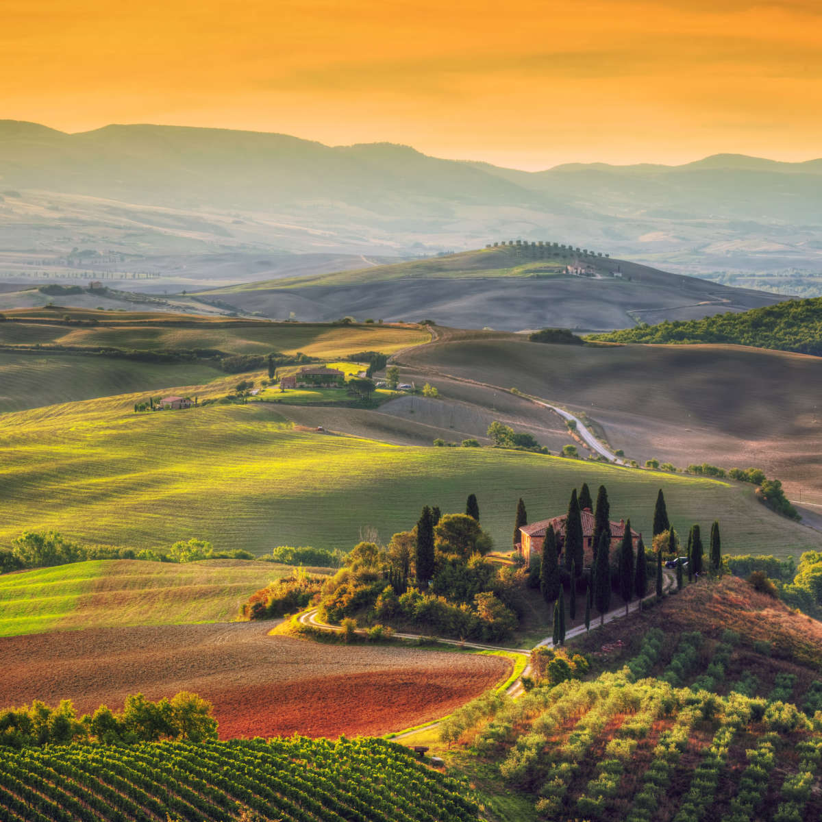 Tuscany At Dawn Wall Art