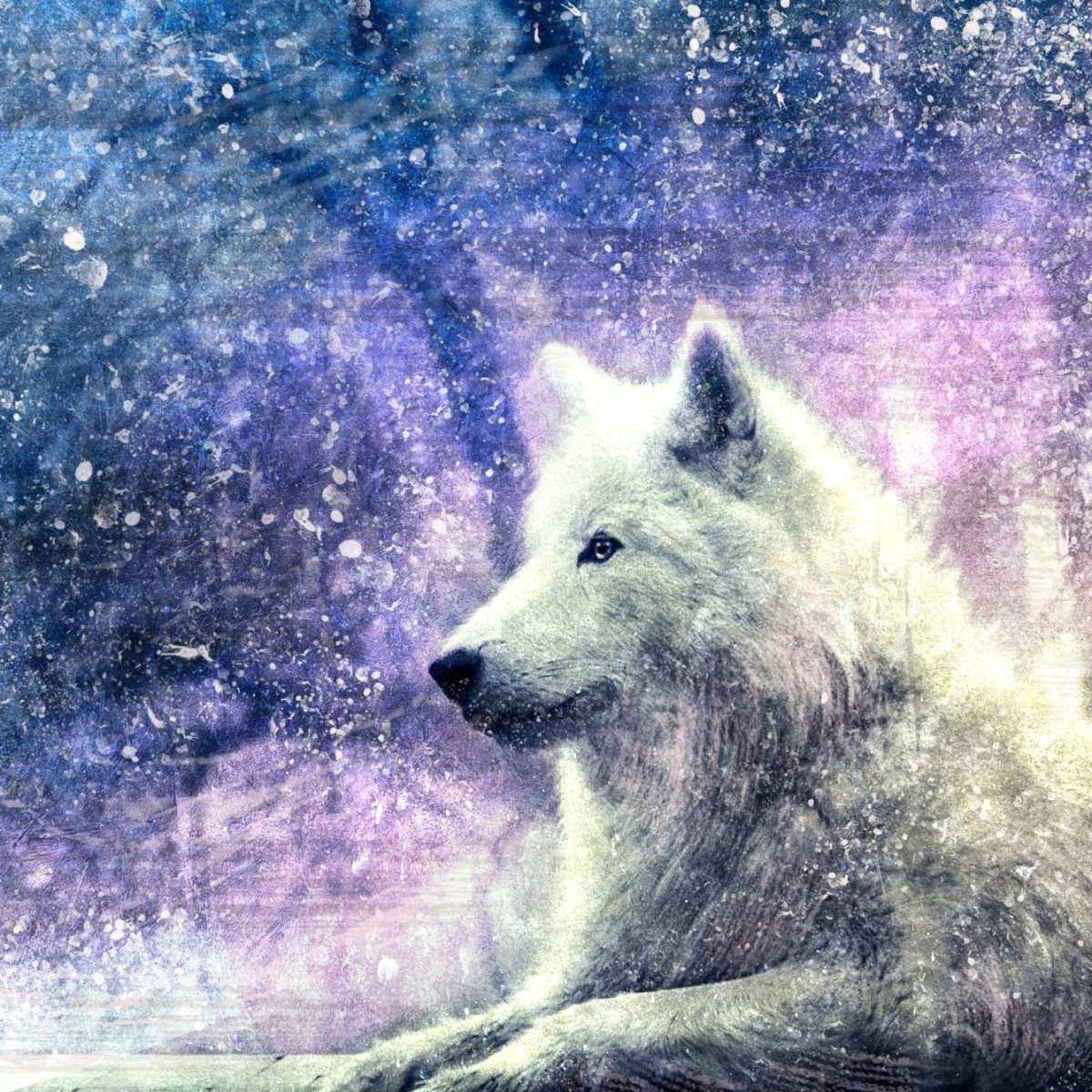 White Wolf Wall Art